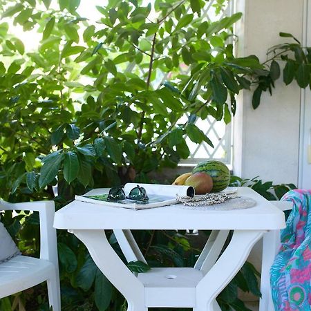 Hedera Estate, Hedera Studio 6 Dubrovnik Ngoại thất bức ảnh